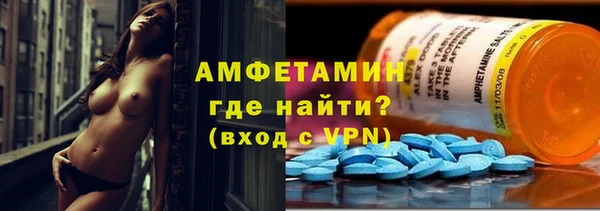 прущие грибы Балабаново