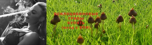 mix Беломорск
